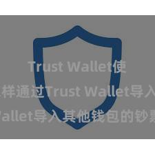 Trust Wallet使用方法 怎样通过Trust Wallet导入其他钱包的钞票？