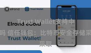 Trust Wallet支持中文吗 信任钱包：比特币安全存储采取